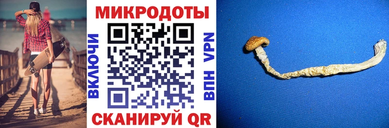 Псилоцибиновые грибы ЛСД Углегорск
