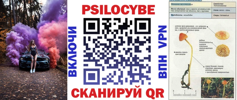 сколько стоит  Углегорск  KRAKEN как войти  Галлюциногенные грибы мицелий 